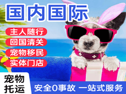 扎兰屯空运地址国际宠物托运 【国